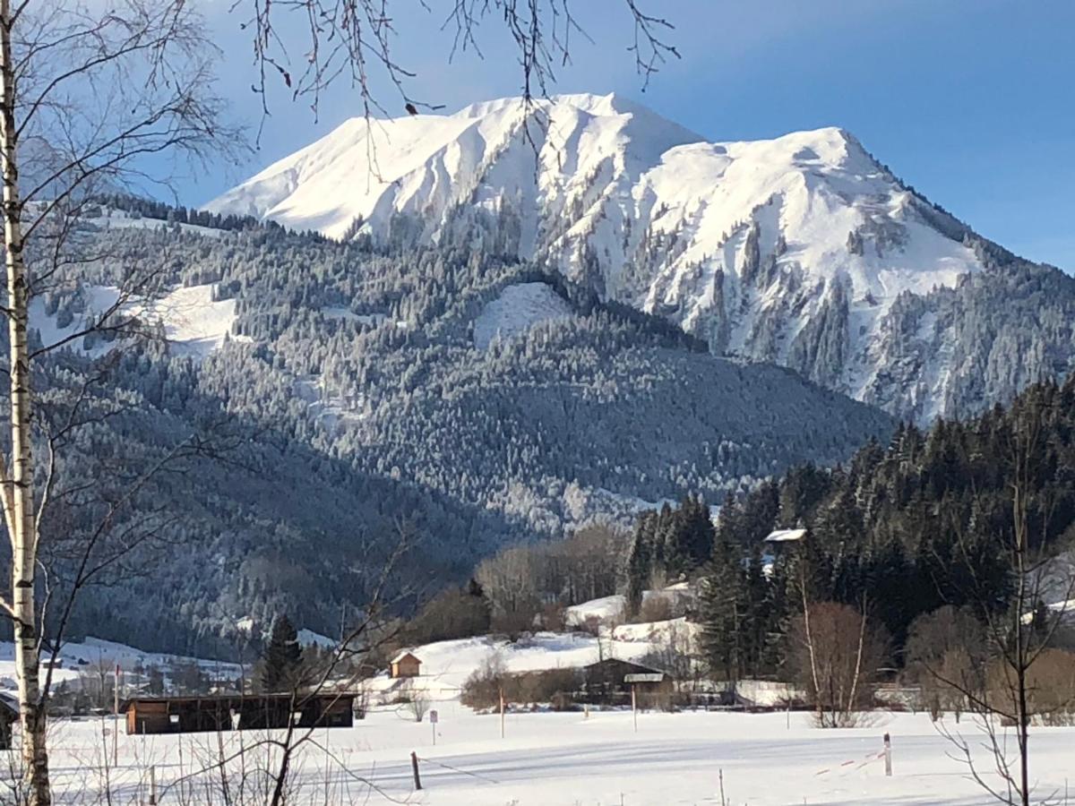 Panoramablick Daire Lermoos Dış mekan fotoğraf