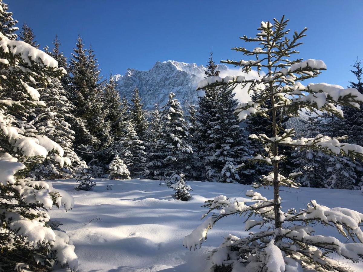 Panoramablick Daire Lermoos Dış mekan fotoğraf